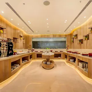 Hotel Oasis Grand Near Igi Delhi Airport New Delhi